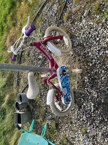 free girls bike