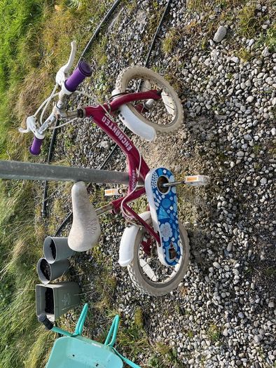 free girls bike