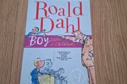 Roald Dahl Boy - Tales of Childhood Book
