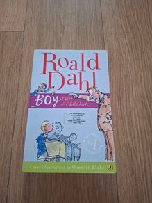 Roald Dahl Boy - Tales of Childhood Book