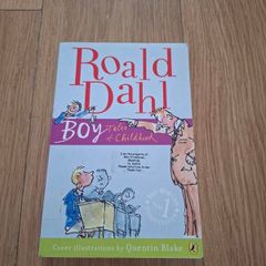 Roald Dahl Boy - Tales of Childhood Book