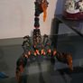 dragons Image 5