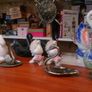 Swan collection Image 8