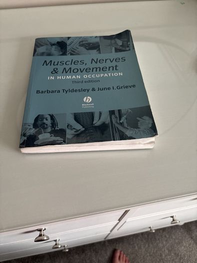 Muscles nerves and movement