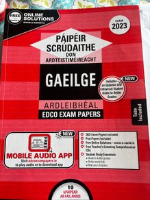 Leaving Cert Irish Exam Papers