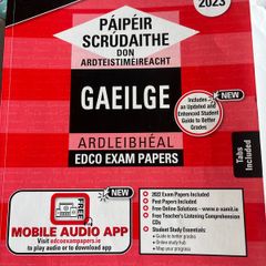 Leaving Cert Irish Exam Papers