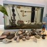 Fish tank with fish Image 2