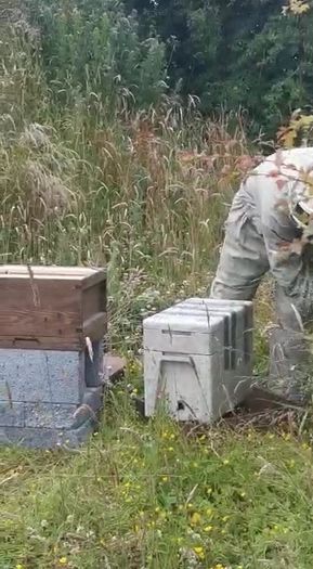 Free swarm removal