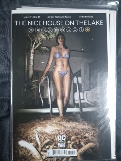 the nice house on the lake