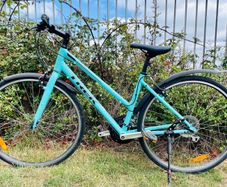 Trek Women's Bike