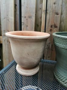Urn shaped terracotta plant pot