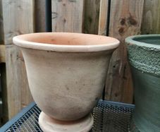 Urn shaped terracotta plant pot
