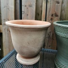Urn shaped terracotta plant pot