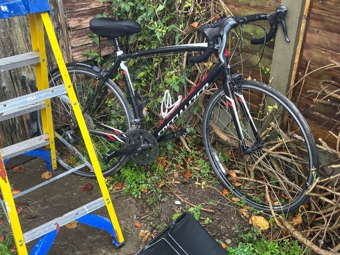 4 bikes for sale