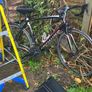 4 bikes for sale Image 2