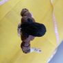 Booker T action Figure Image 4