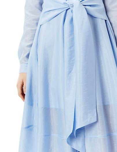 COAST Torrington Shirt Dress