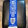 2017 GAA All Ireland Hurling Final Scarf Galway v Waterford Croke Park Image 4