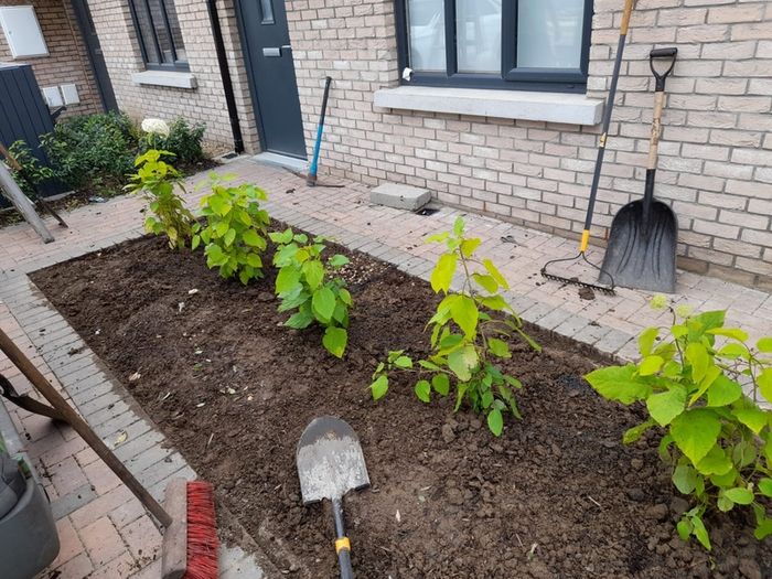 lawn care landscape and garden services