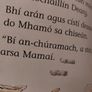 Irish book (Pr  184) Image 3