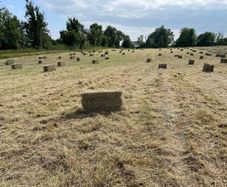 Square bales of hay North Galway