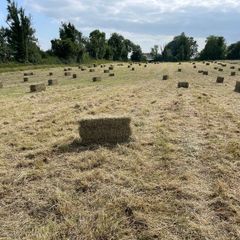 Square bales of hay North Galway
