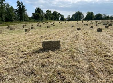 Square bales of hay North Galway