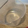 fish bowl Image 5