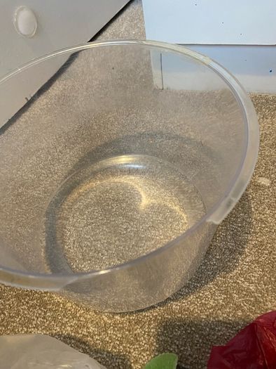 fish bowl