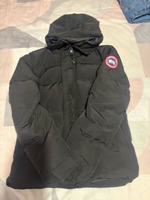 canada goose