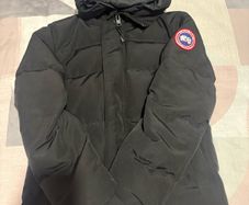 canada goose