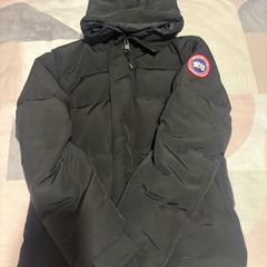 canada goose