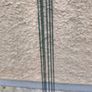 Plant Support Sticks Image 2