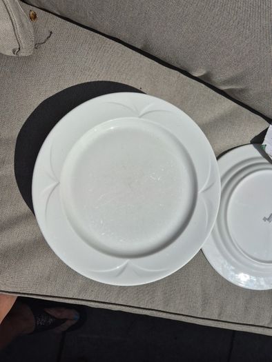 Crockery Dinner Plates