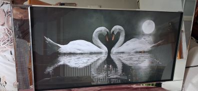 Beautiful swan pacture
