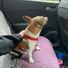 Kiki1224