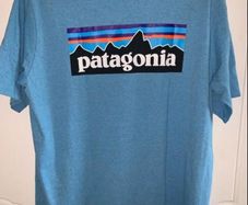 Patagonia Tee