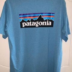 Patagonia Tee