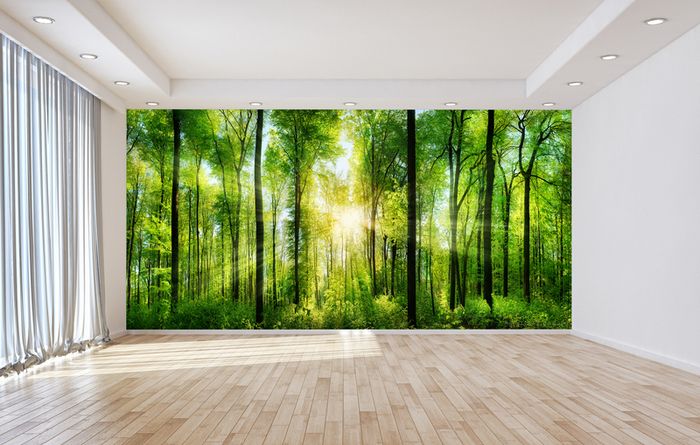 Non-woven Wall Mural / Photo Wallpaper