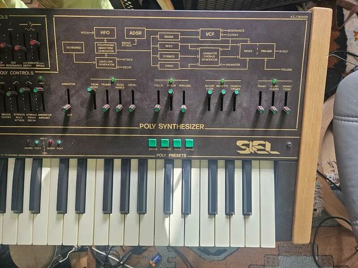 Siel Cruise vintage analog synth