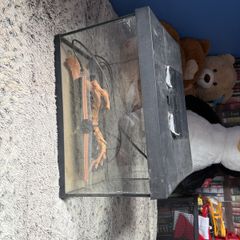 reptile tank