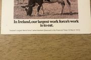 10 old Kerrygold advertisings