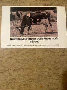10 old Kerrygold advertisings