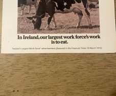 10 old Kerrygold advertisings