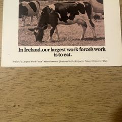 10 old Kerrygold advertisings