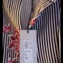 Ladies Cotton Trousers NEW Image 3