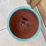 Ceramic glazed terracotta pot Image 4