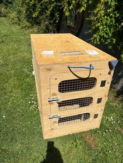 dog transport crate