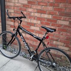 kalaban concept road adult bike