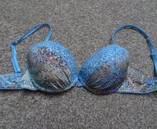 stunning blue bra new